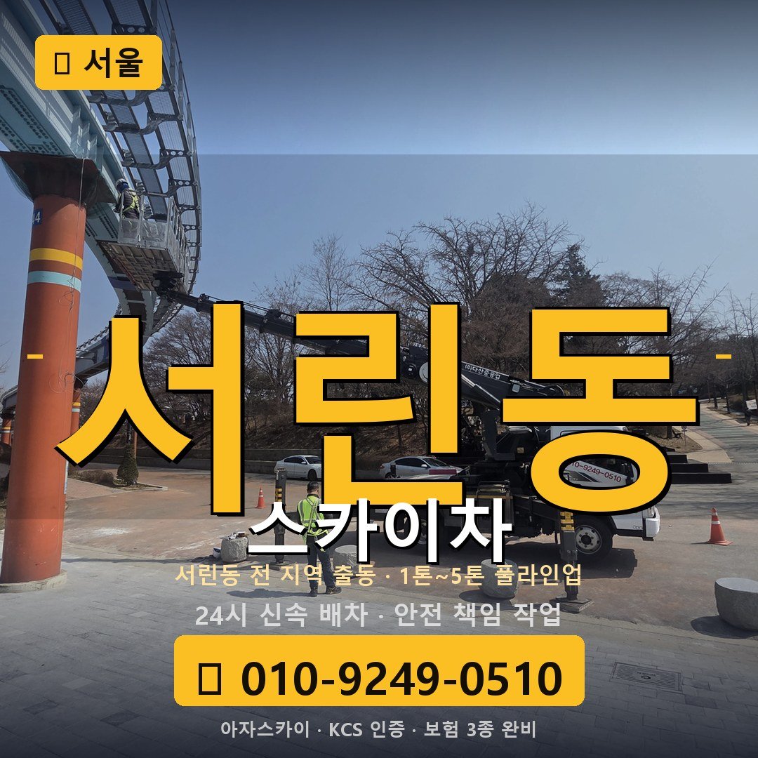 서울 서린동 스카이차 - 아자스카이
