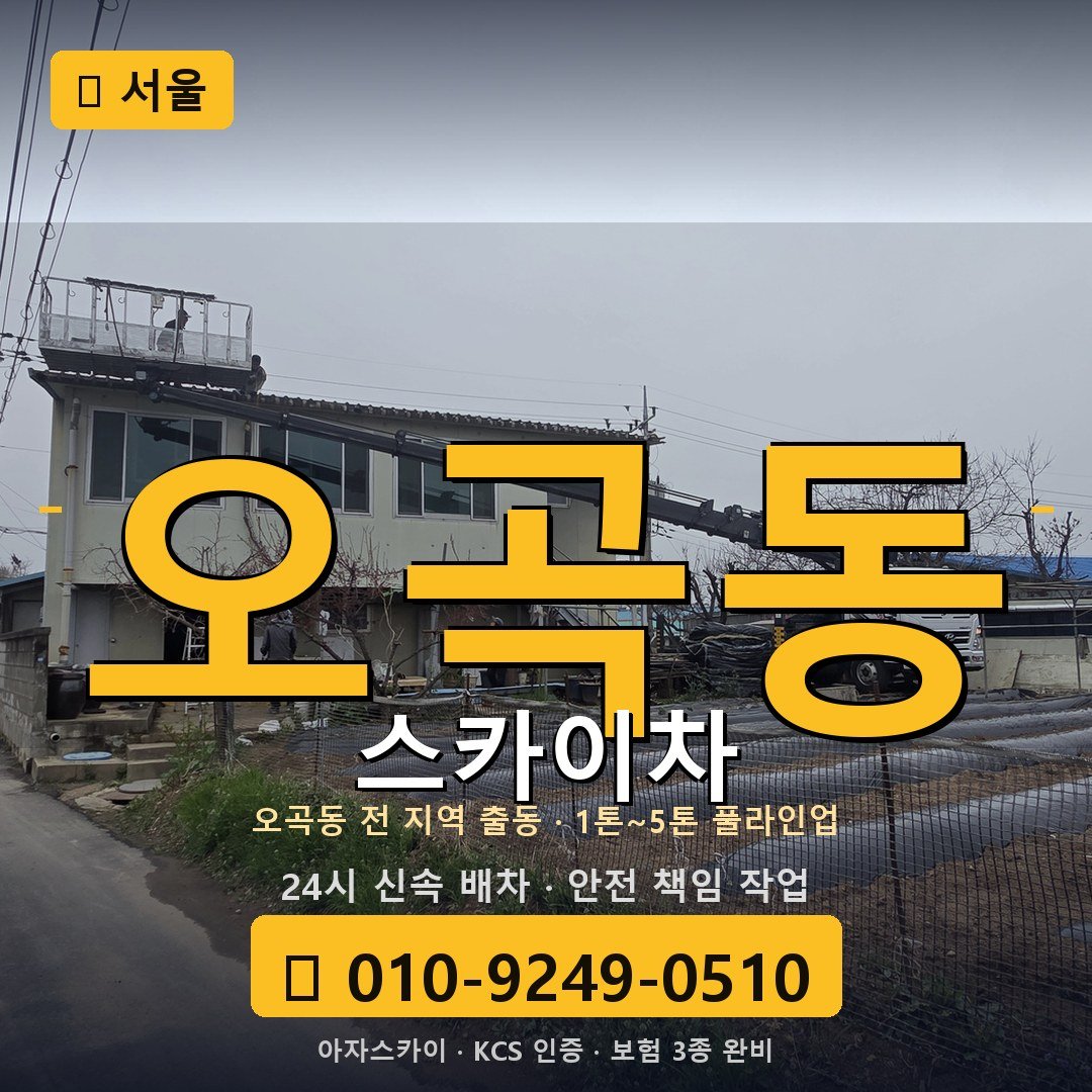 서울 오곡동 스카이차 - 아자스카이