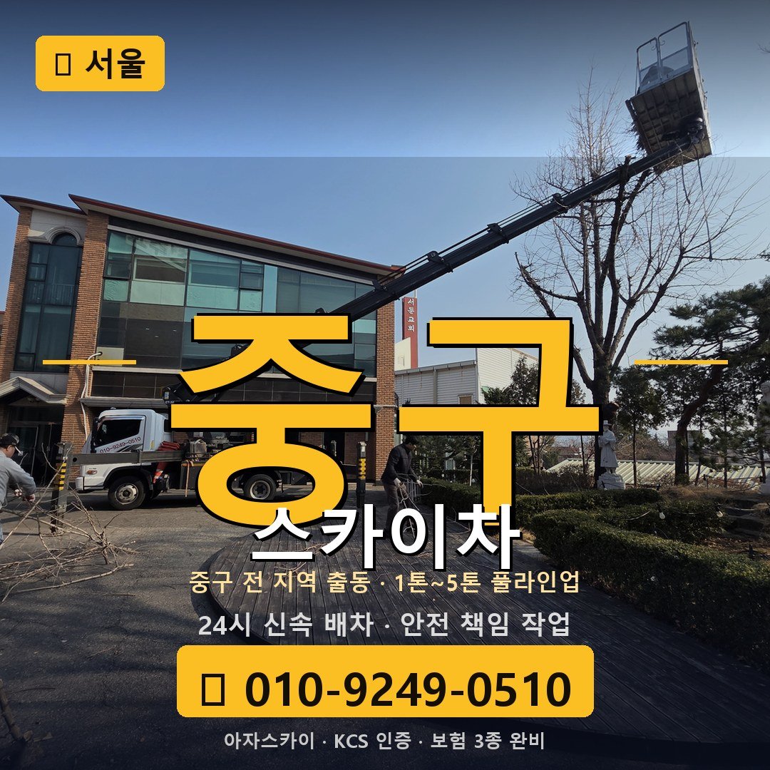 서울 중구 스카이차 - 아자스카이